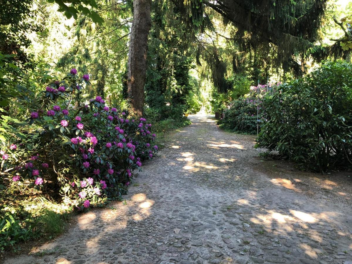 Ferienhaus Hudemuehlen Keine Monteure Hodenhagen Exteriér fotografie