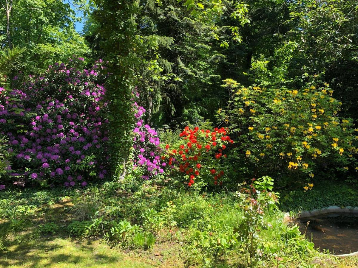 Ferienhaus Hudemuehlen Keine Monteure Hodenhagen Exteriér fotografie